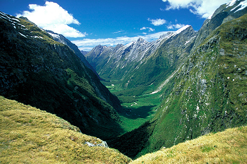 NewZealand.png