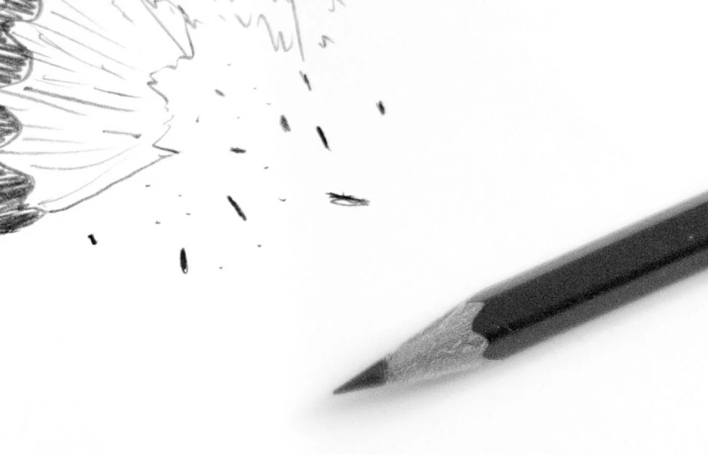 museum_sketch_tour_crop2.jpg