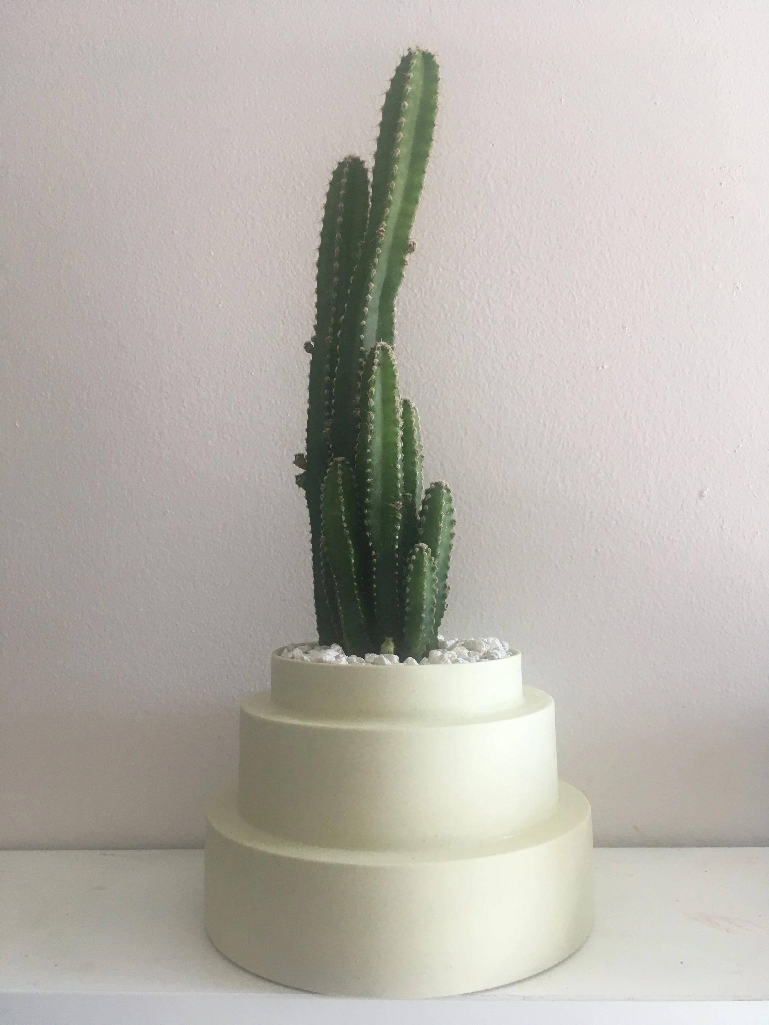 25619AA4-5DEA-4EE6-9E64-64B28ADEEA26 - Richard Schwartz.jpeg