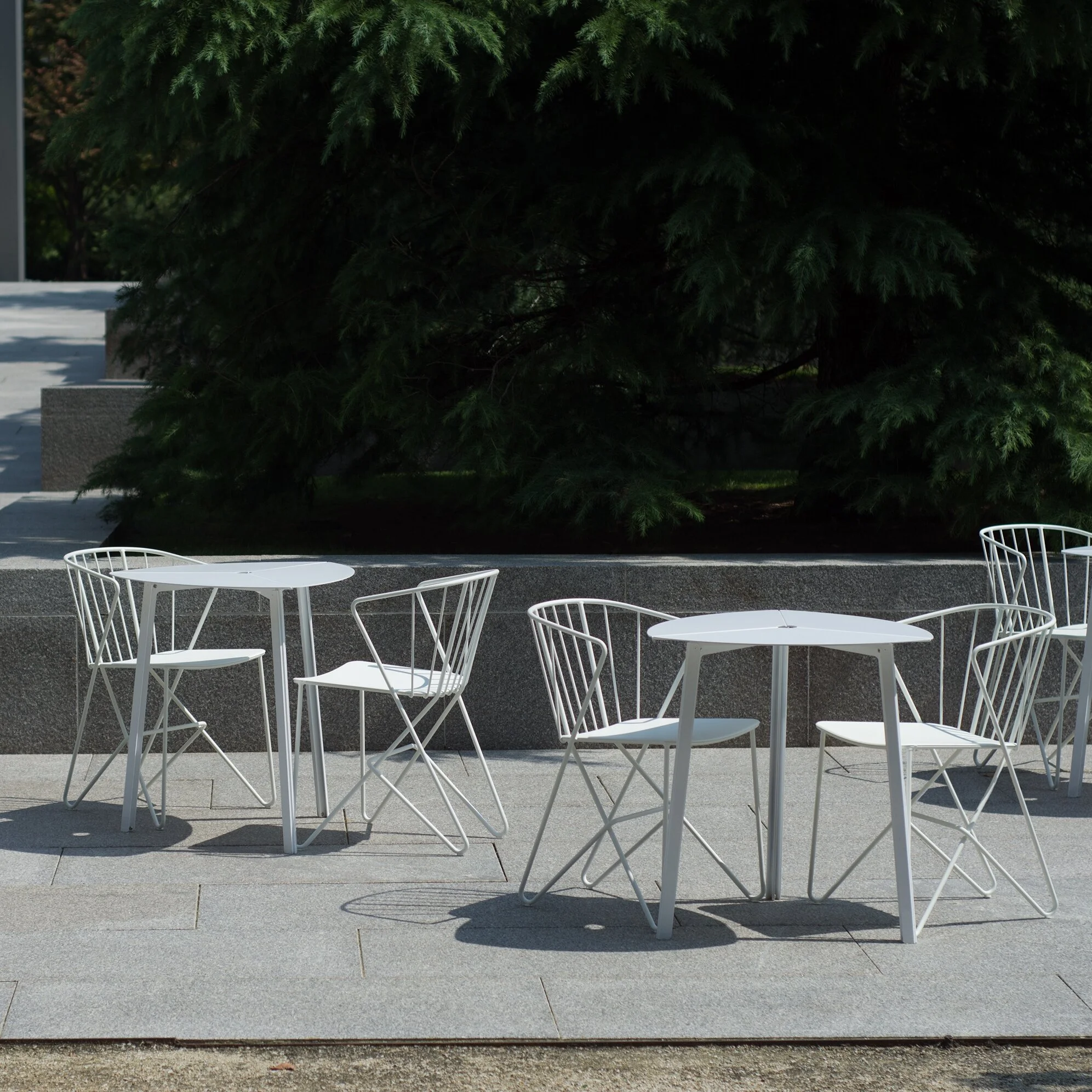 IMG-20200814_134335_4320-137963394 - Wim May.jpeg