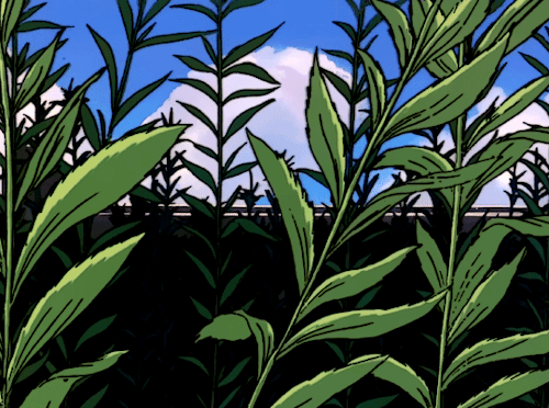 tumblr_pj6ox6HNWp1tiejlho1_500.gif