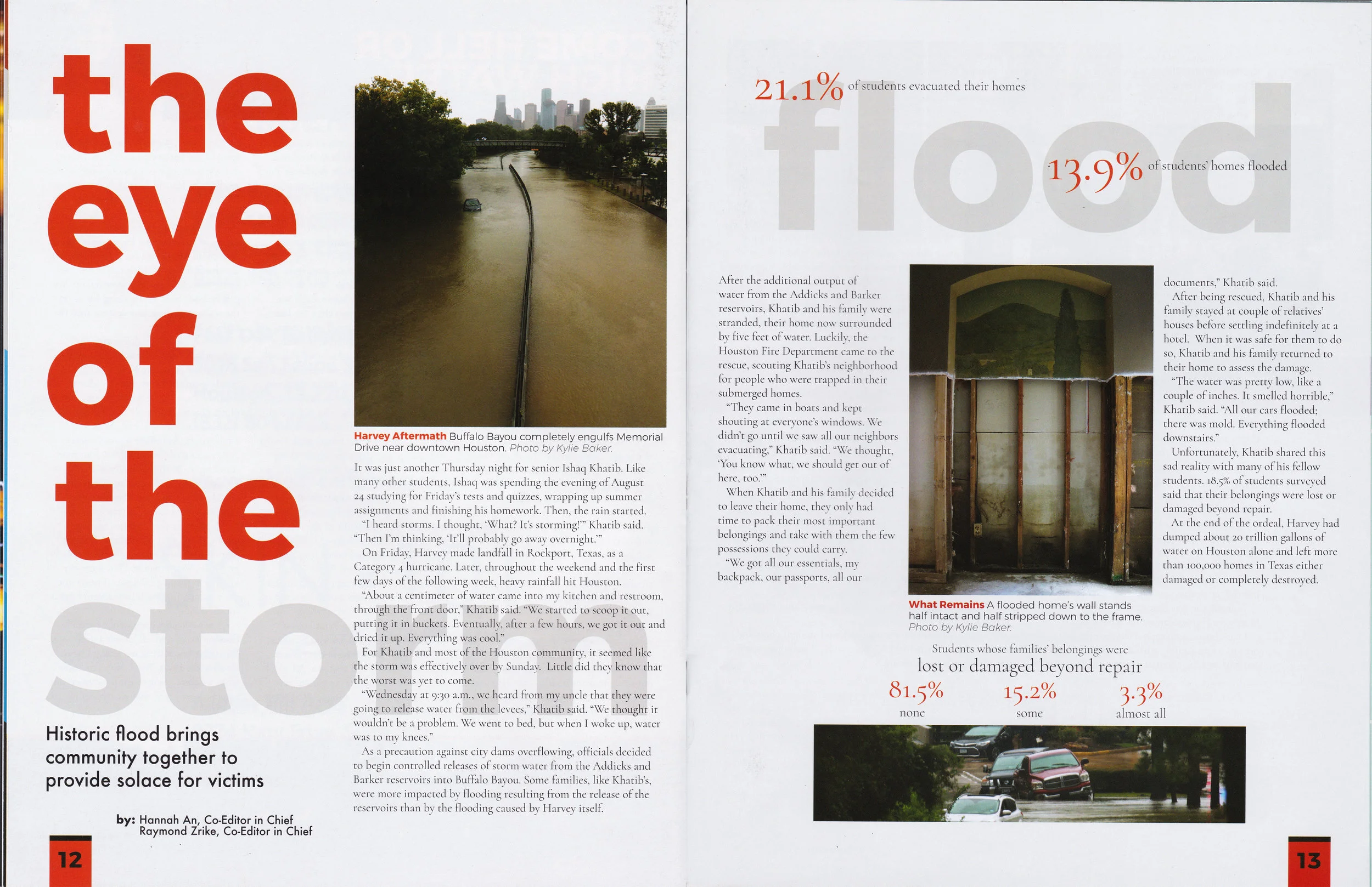 Raymond Zrike magazine layout small.jpg
