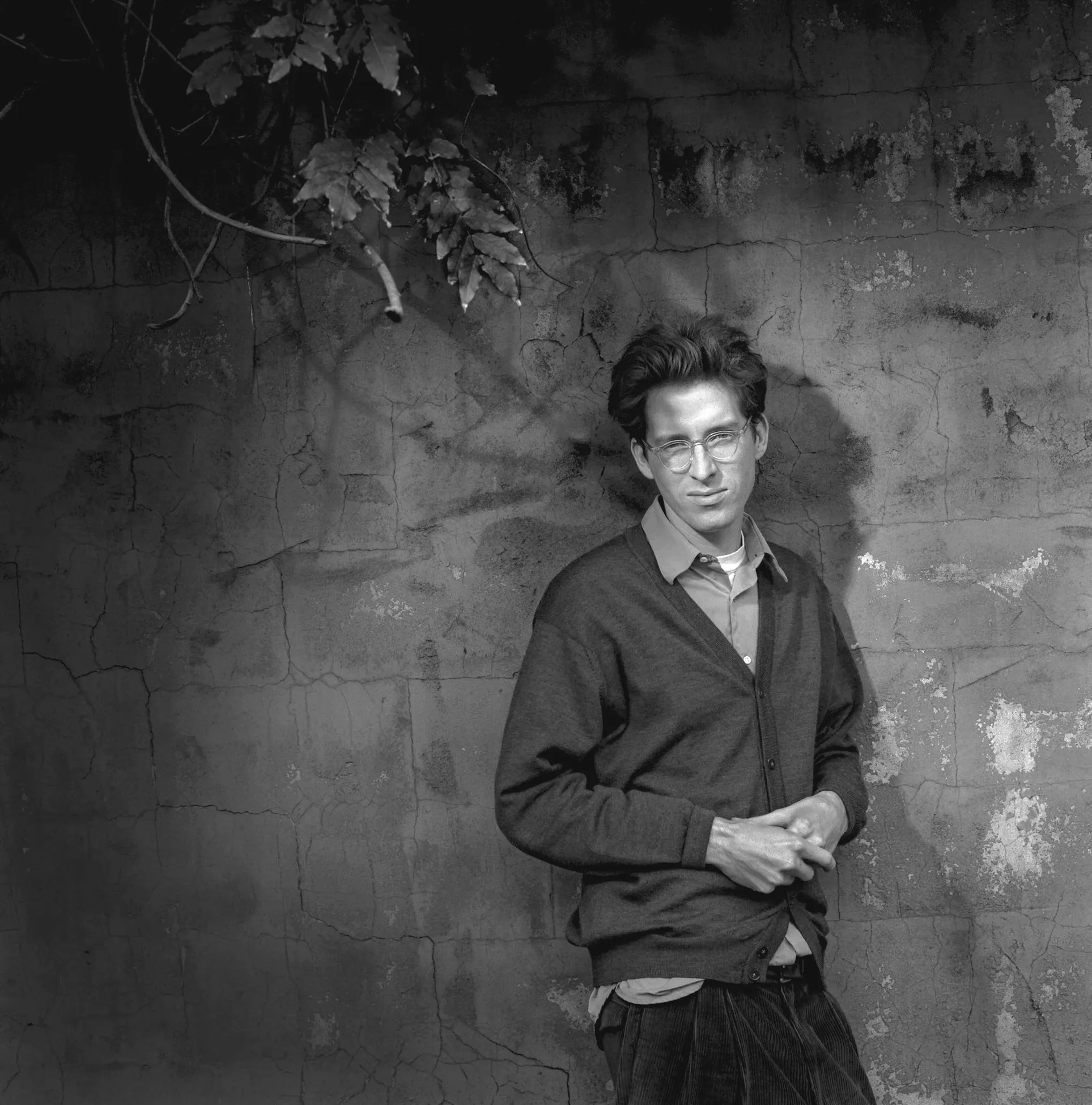 Wes Anderson, Director