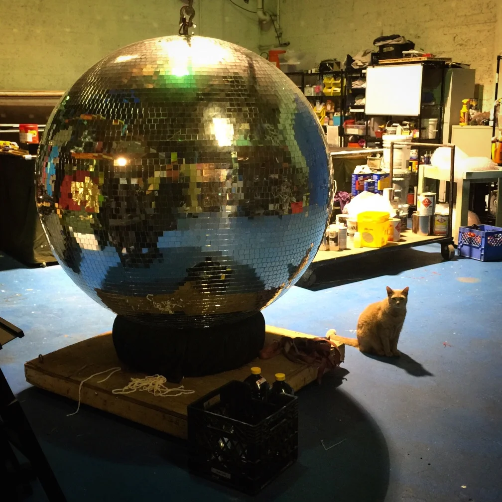 Disco Cat.jpg