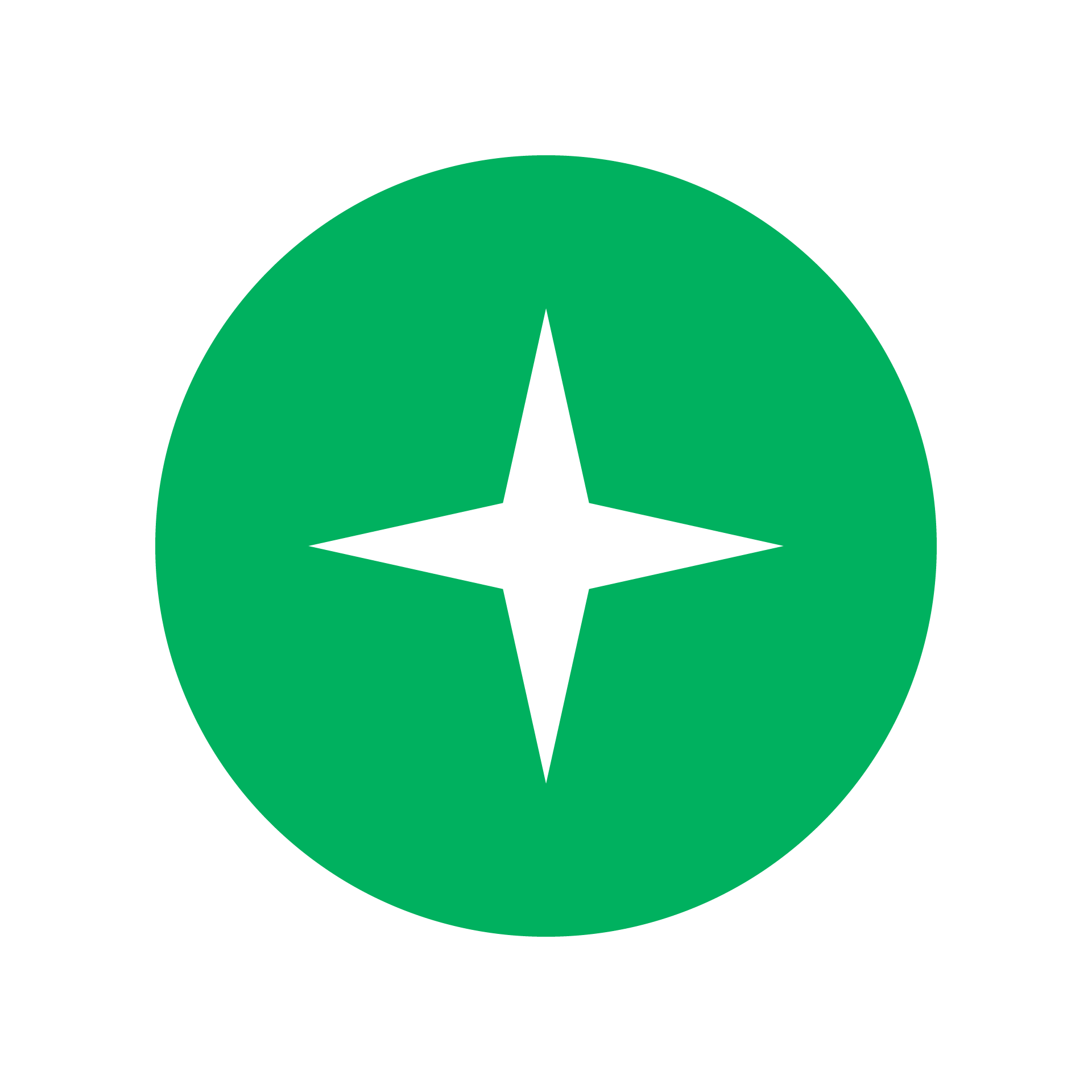 modern-star.png