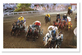 Stampeding the Trail Calgary’s new Cenovus Legacy Trail connects the city’s western heritage with the whole country READ THE ARTICLE >