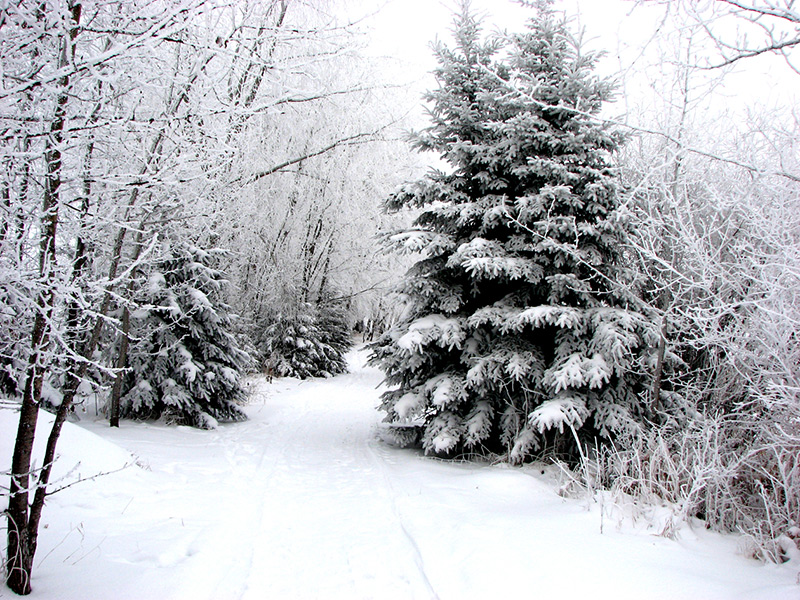 Trails Manitoba