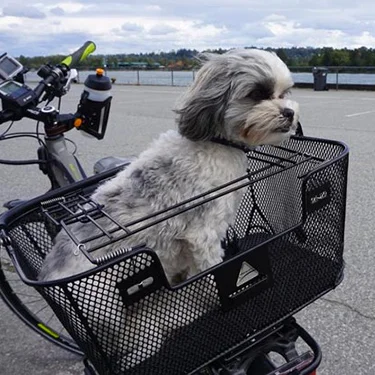 Photo Credit: Courtesy of Average Joe Cyclist