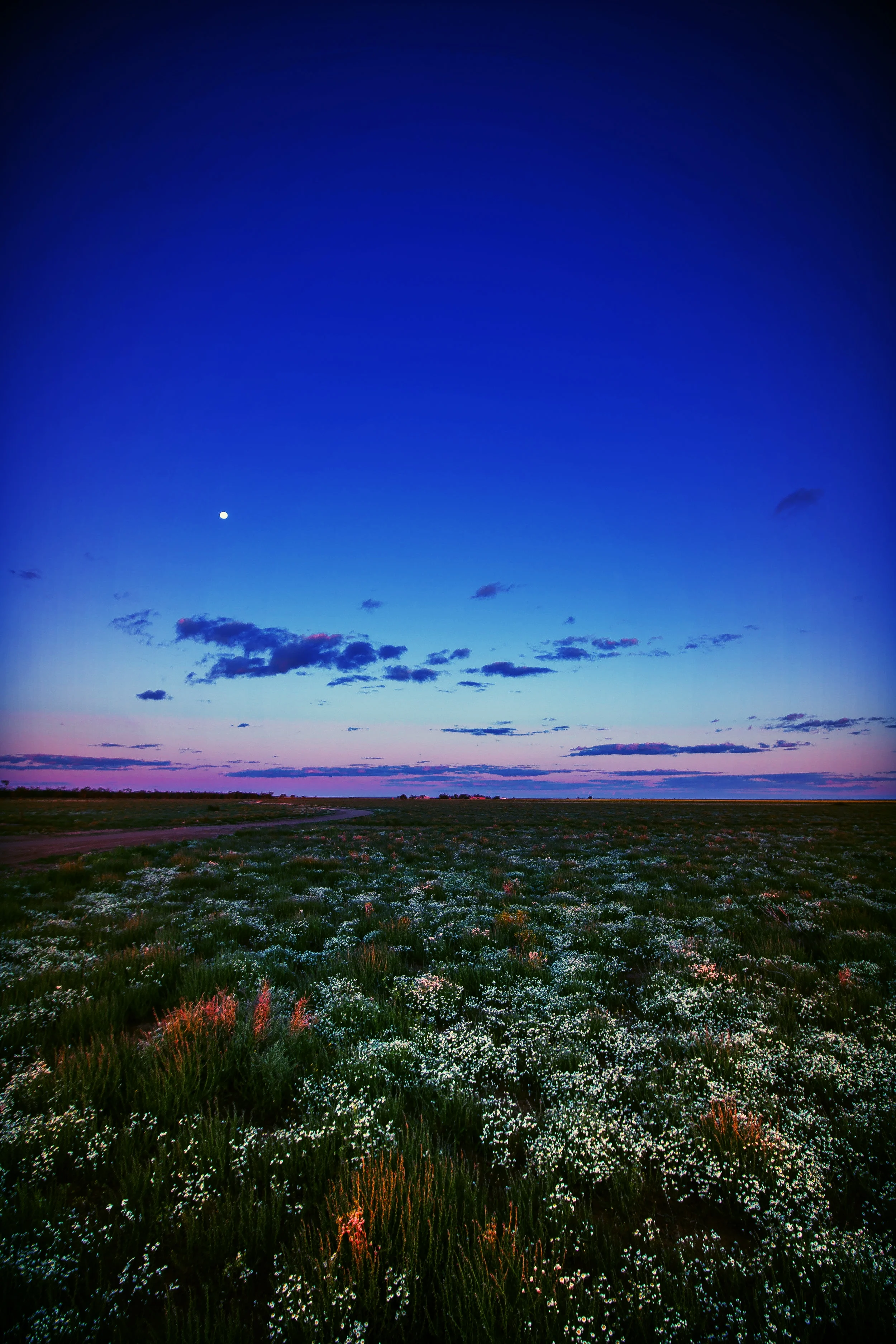20150927 willandra sunset.jpg