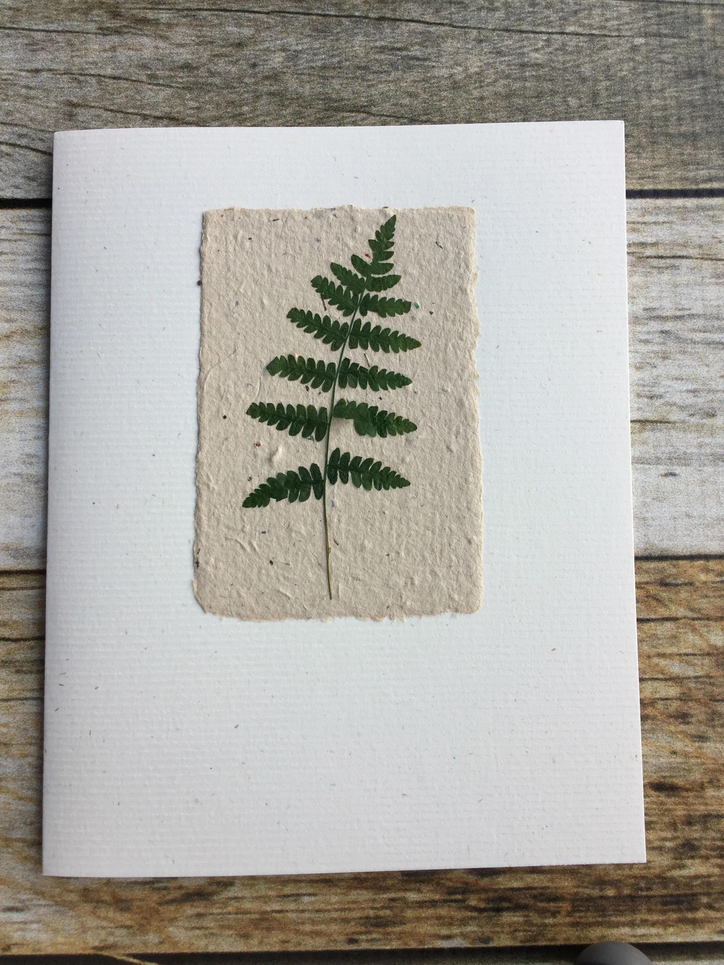 pressed fern note card