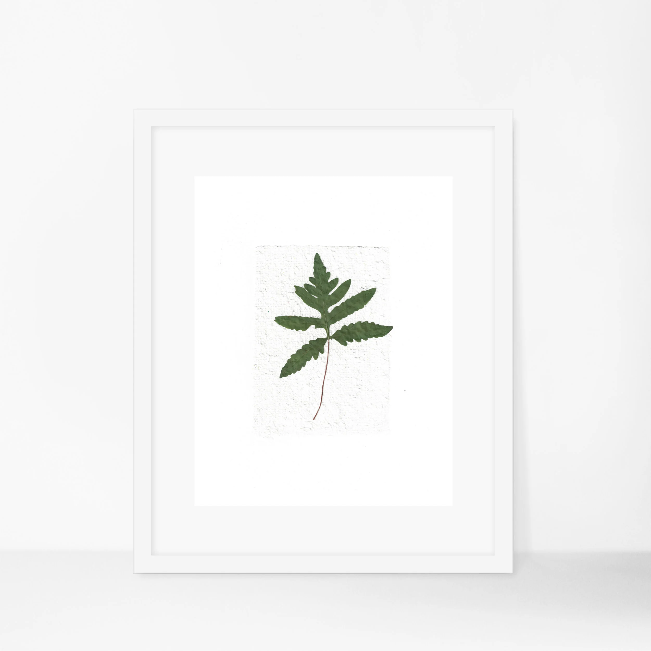 example of fern pressed with Microfleur