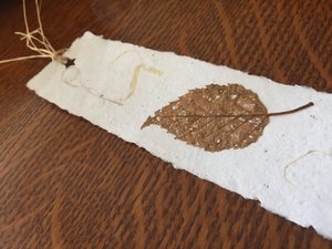 Papermaking Kits, Outdoor Learning, Handmade Bookmark, Recycled