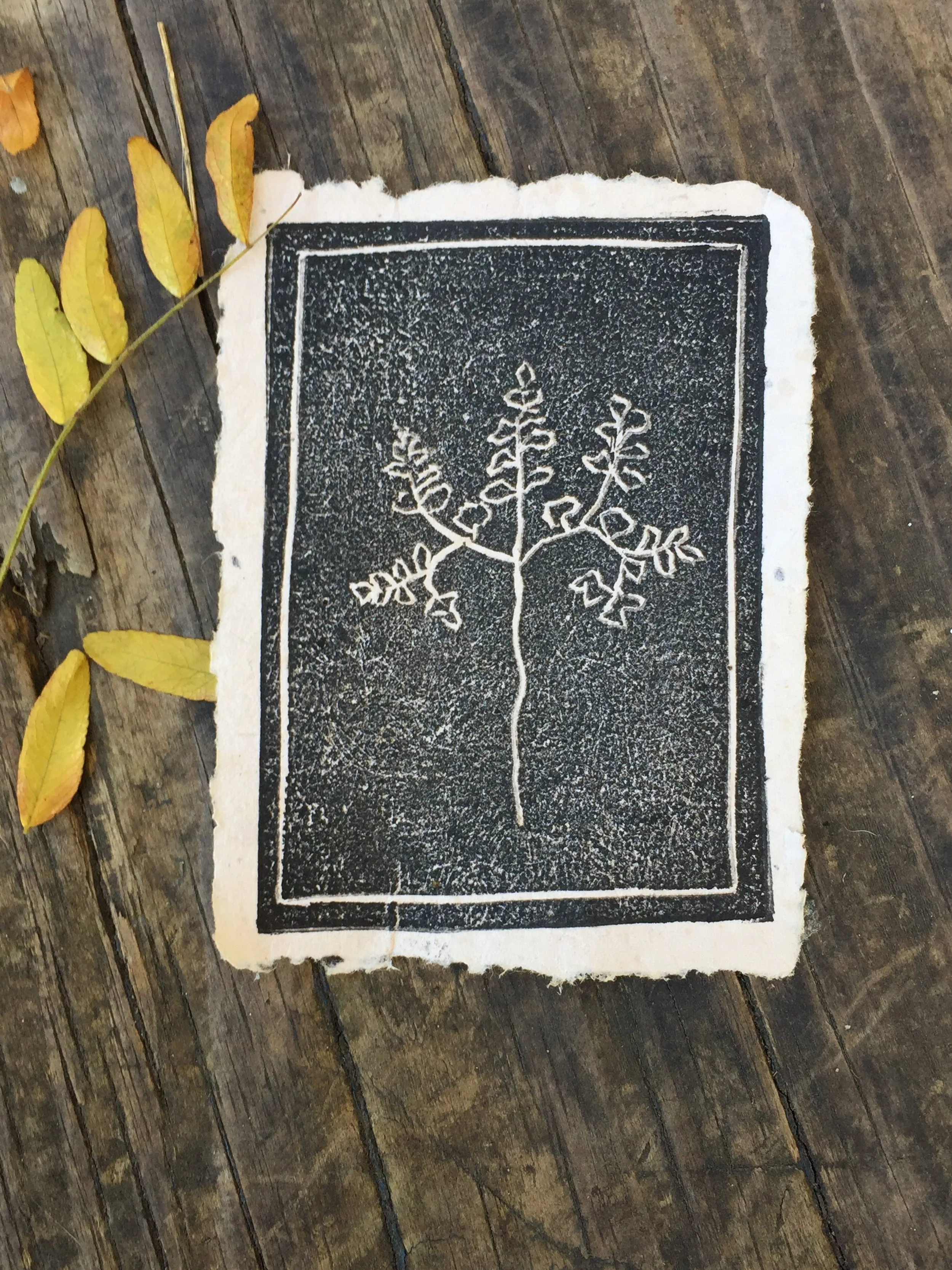 The Classic Paper Making Kit for Making Handmade Paper With a Deckle Edge — Wooden Deckle