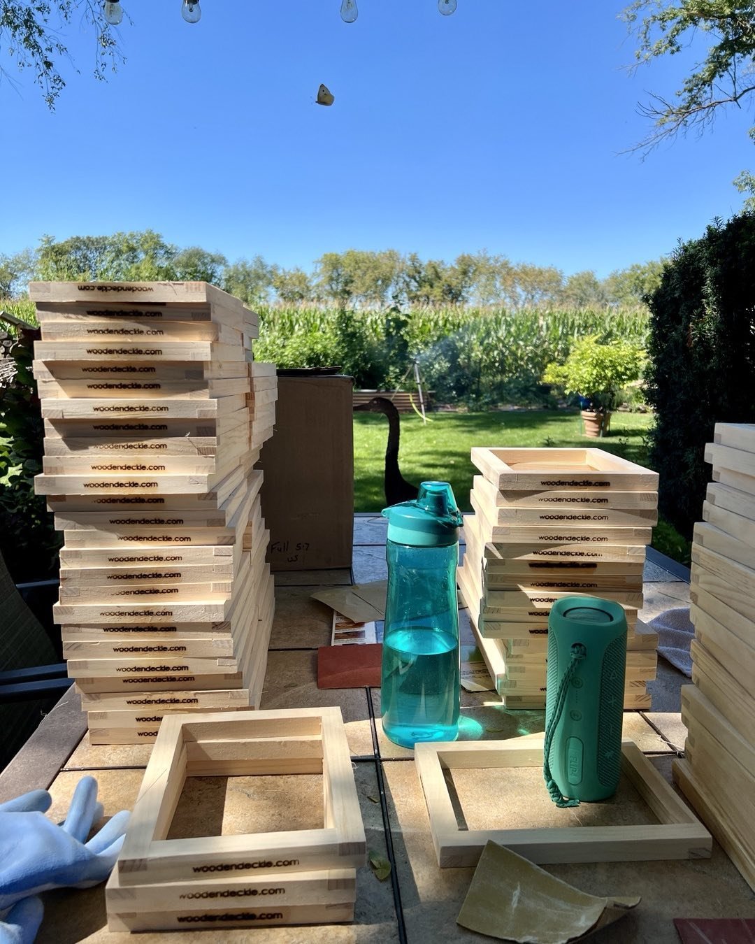 So it's sanding day today. I thought I should put a picture on Instagram since it's been months, and do you see the little visitor on the top part of the picture? 😂