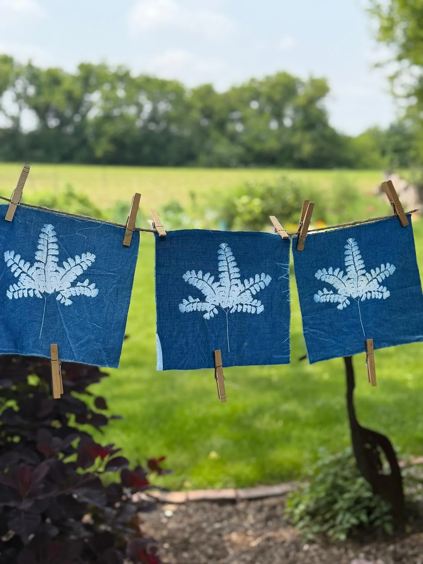 Found some cyanotype gems while going through my craft supplies. I meant to create some beautiful throw pillows, or a wall hanging but who am I kidding, that&rsquo;s not going to happen!  I will be listing various botanical sun prints on Etsy over th