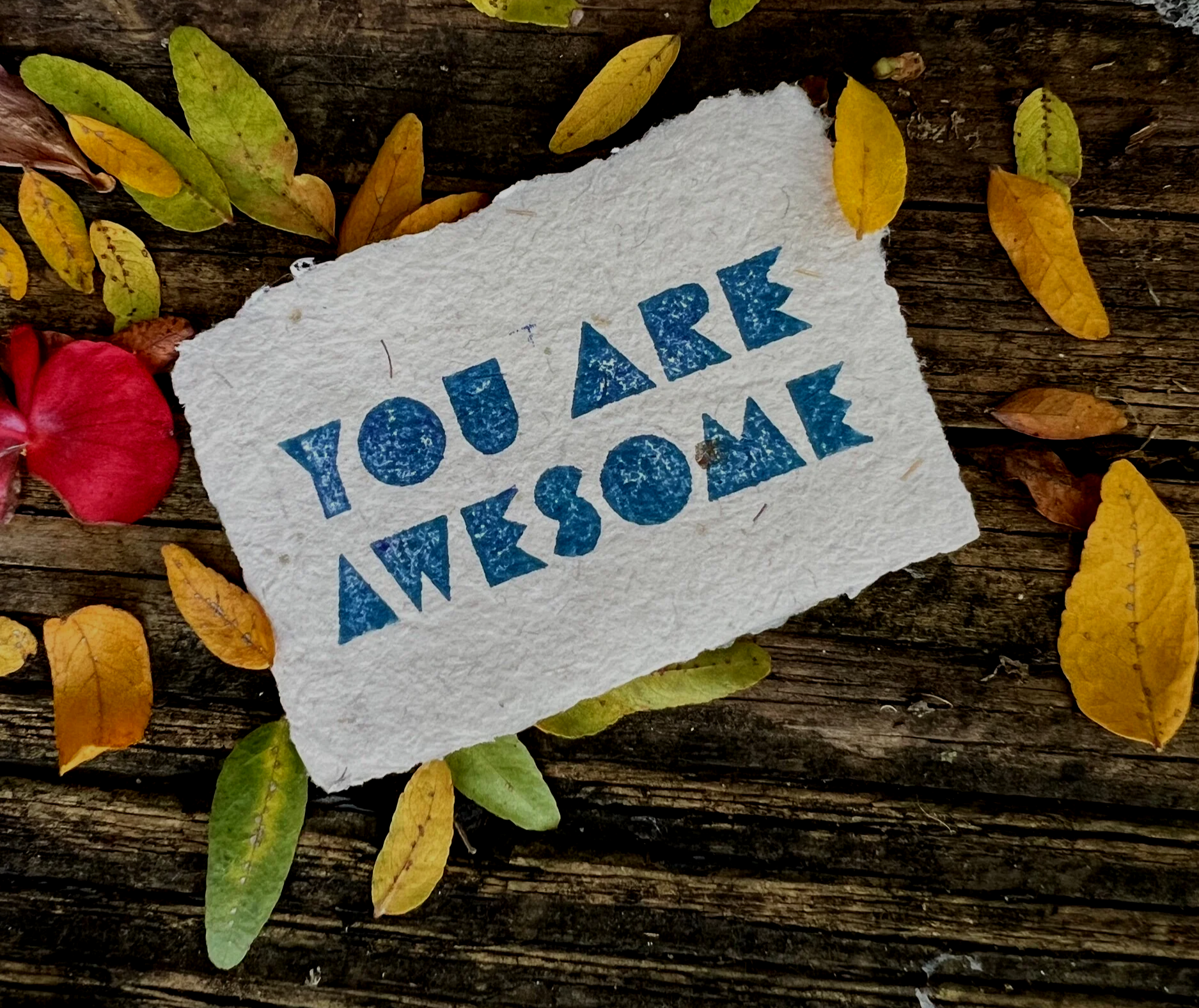 47189047-0AEB-459C-B284-98444E68117B