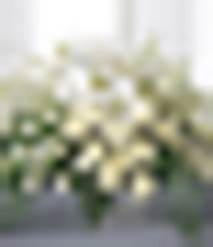 untitled (from With Sympathy series)