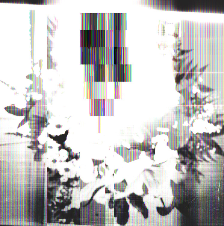 untitled (from With Sympathy seris)