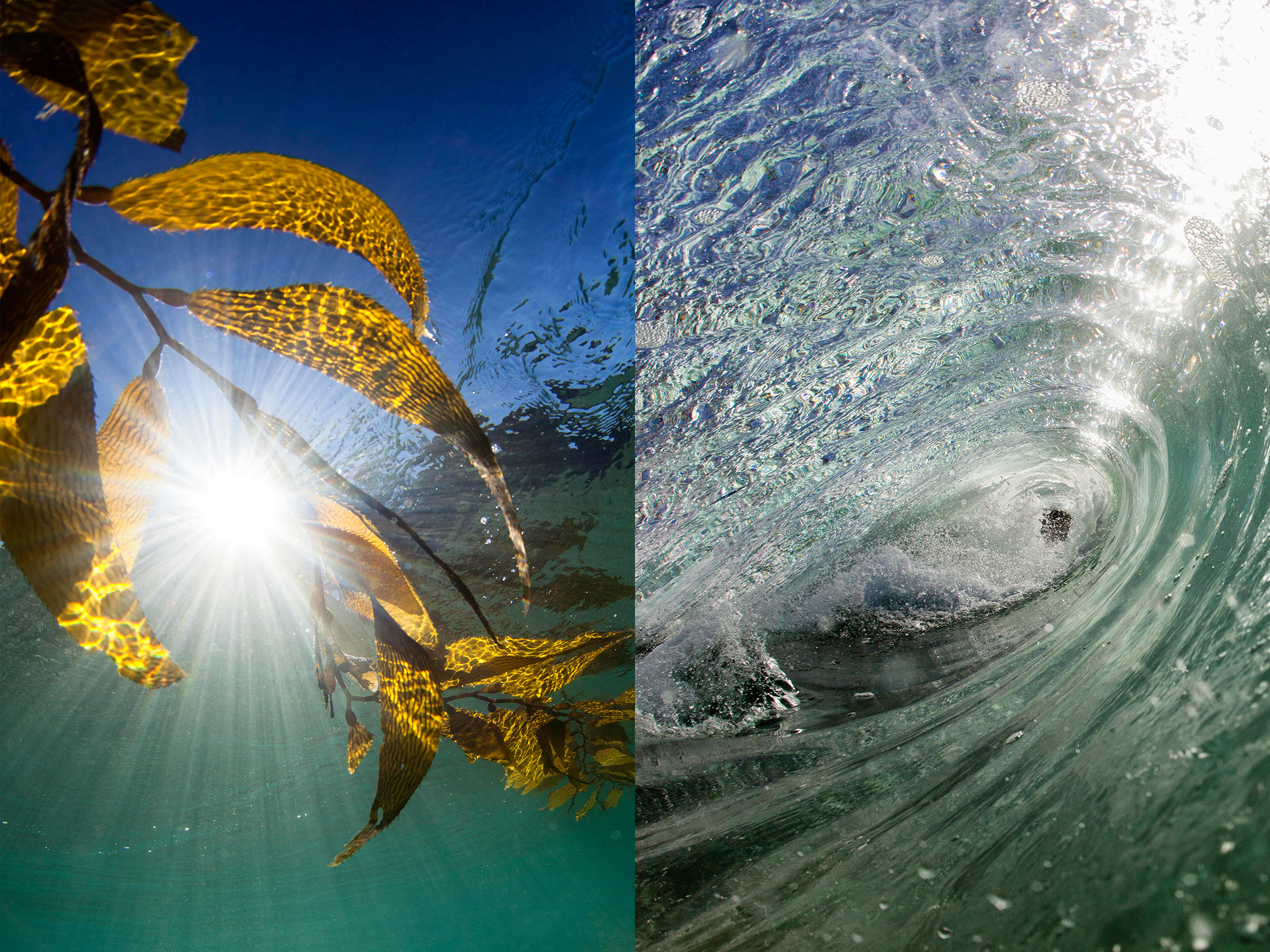 vision-pairings_39-40.jpg