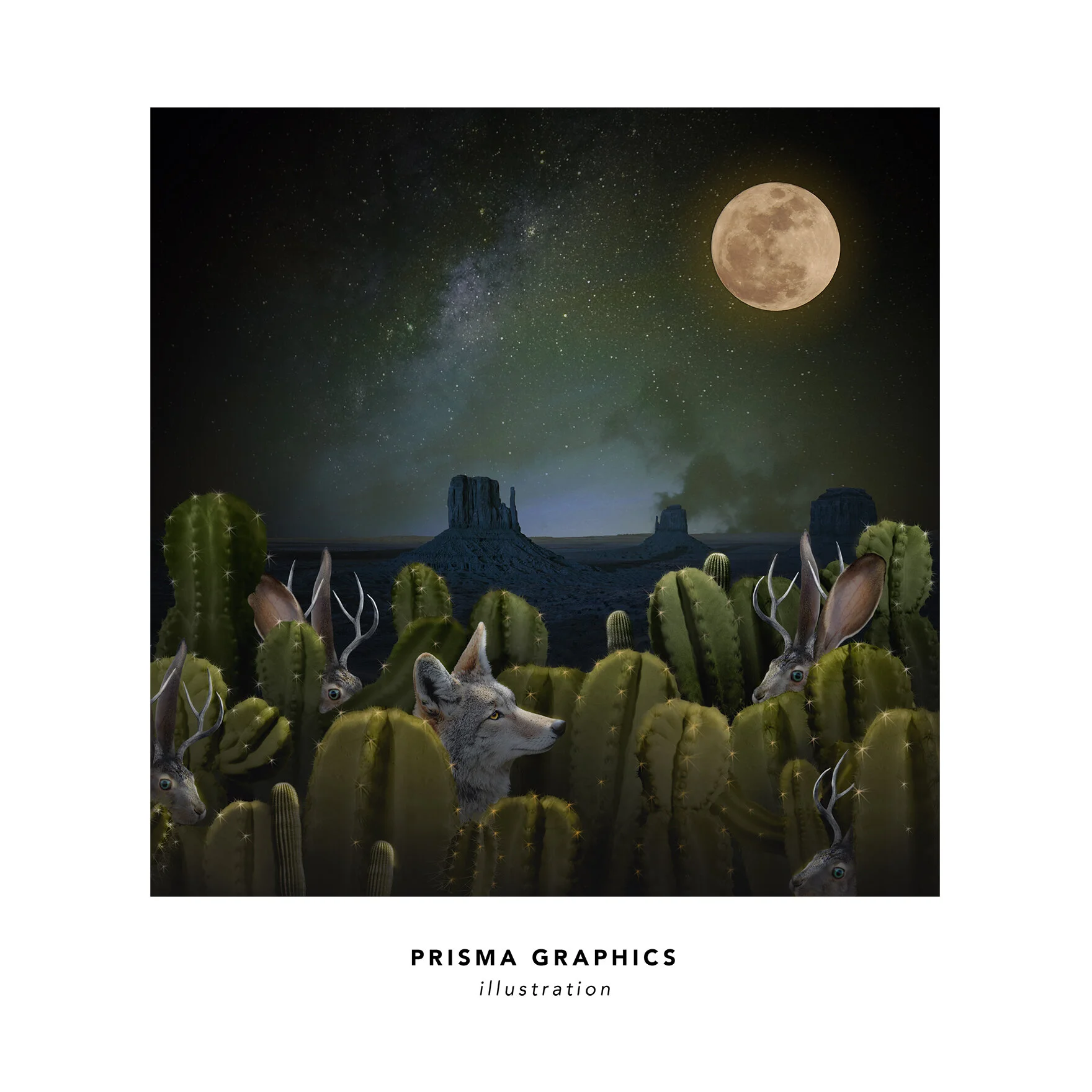 prisma graphics 1_small.jpg