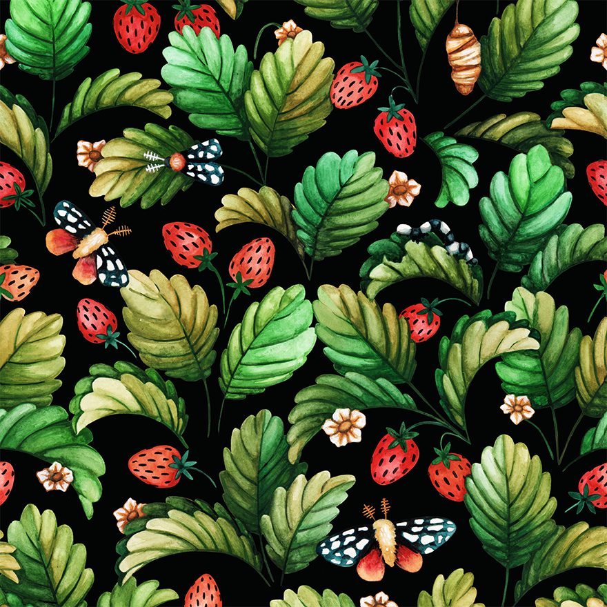 Strawberry Patch_EXAMPLE2.png