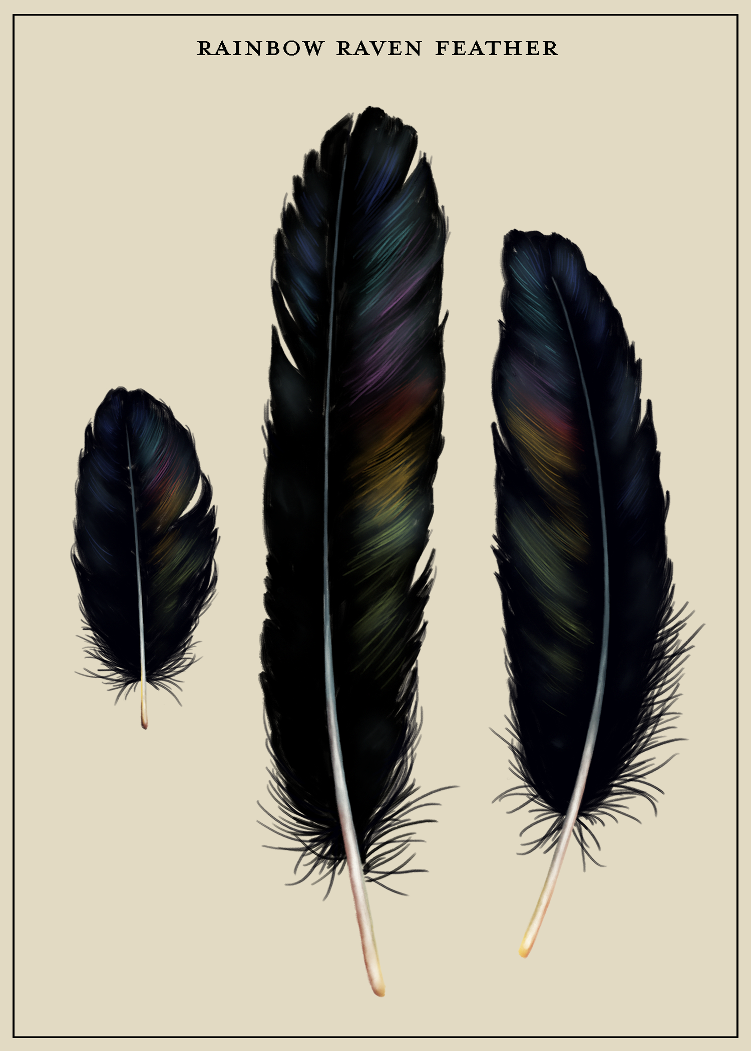 Raven Feather.png