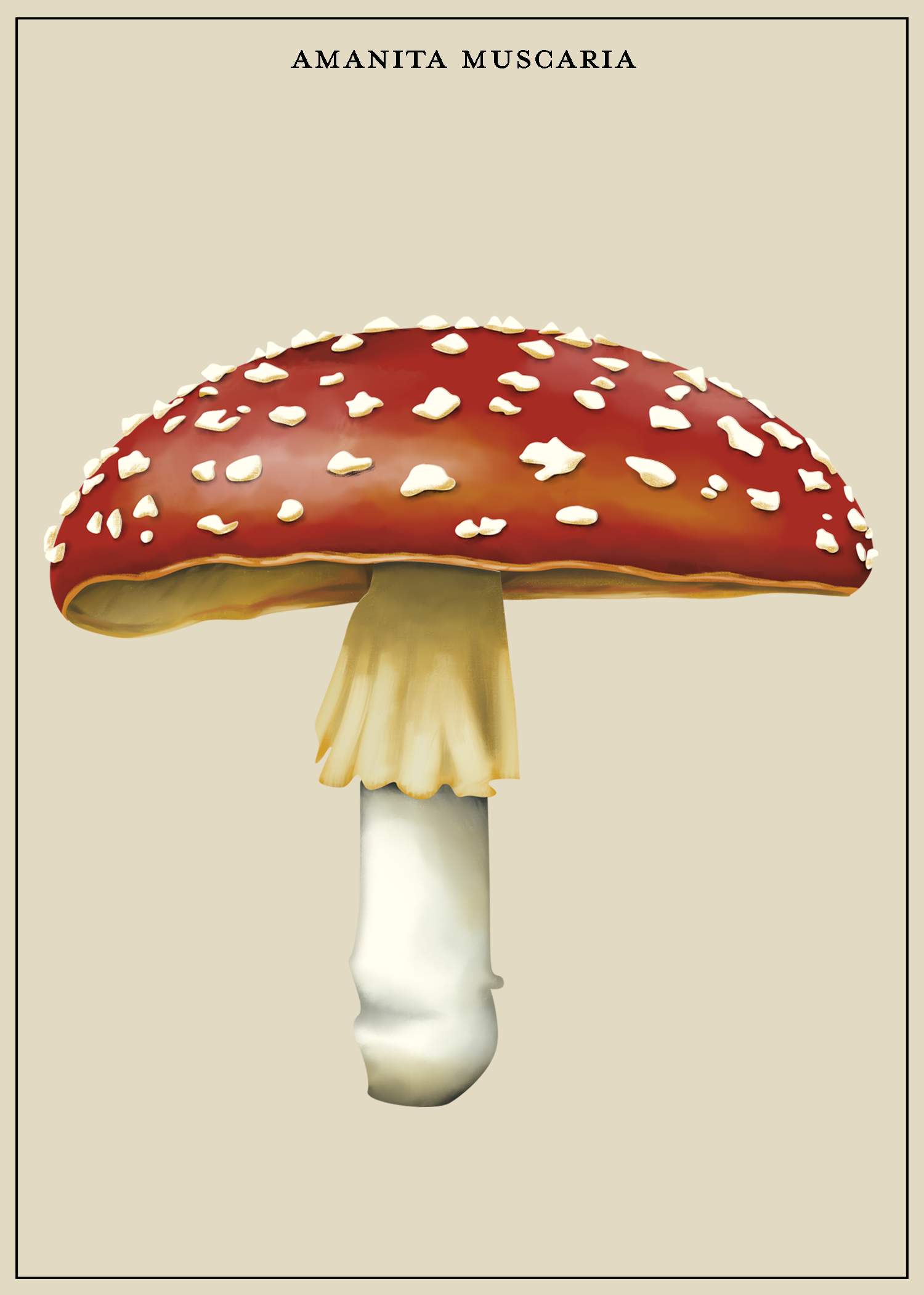 AmanitaMuscaria.png