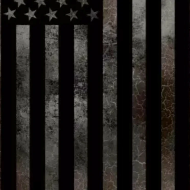 3. FLAGfinal_13.2 copy.jpg
