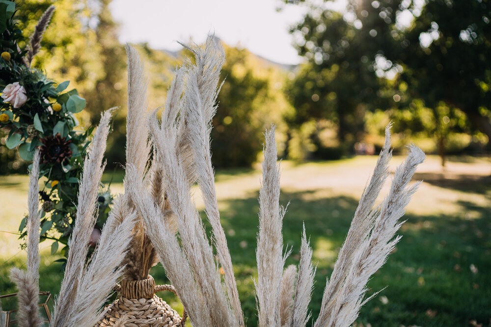 Rachael-Nikki-Colorado-Elopement-2142.jpg