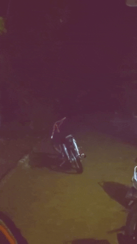 motorcycle.gif