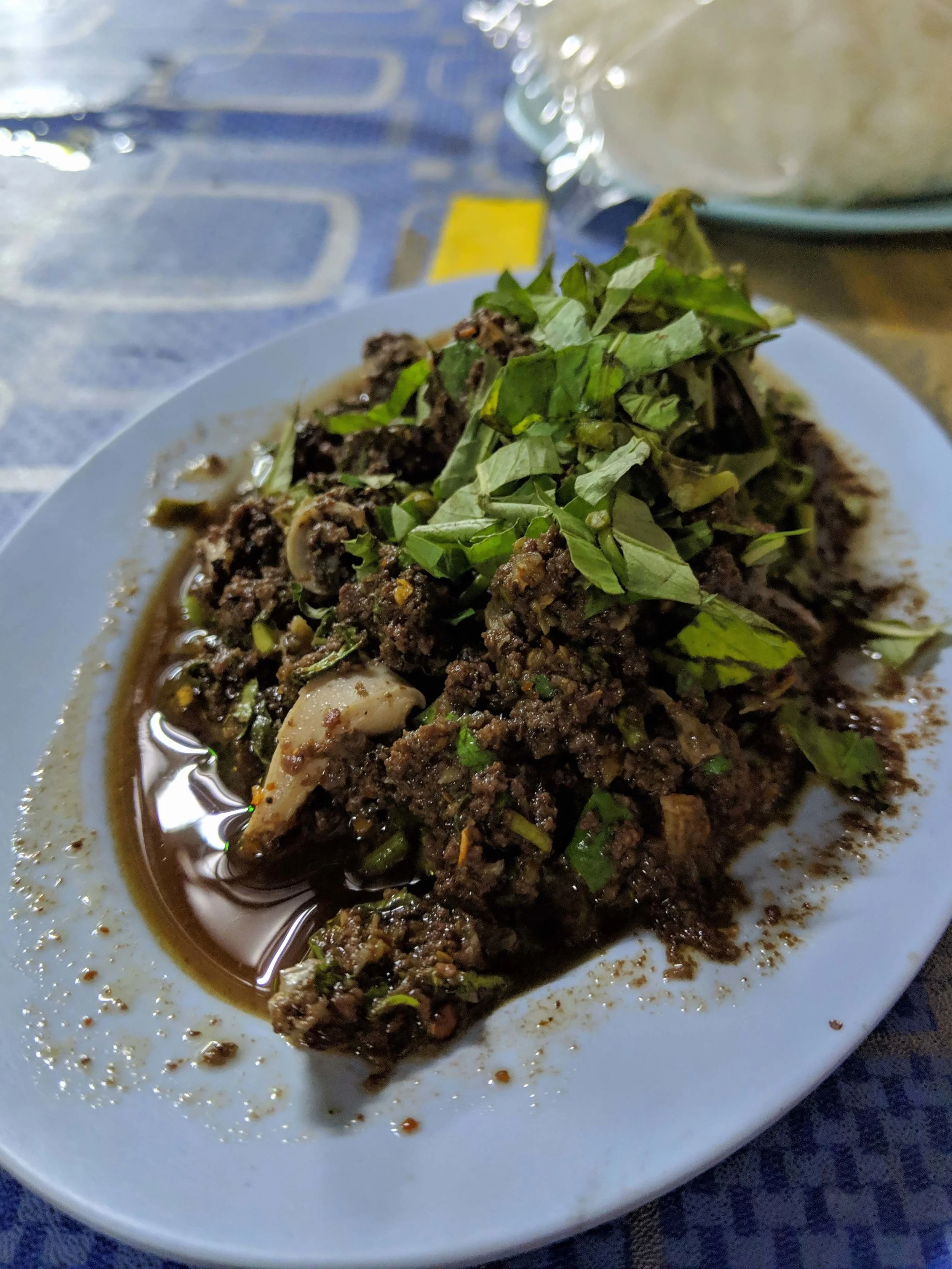 MVIMG_20190404_200847.jpg