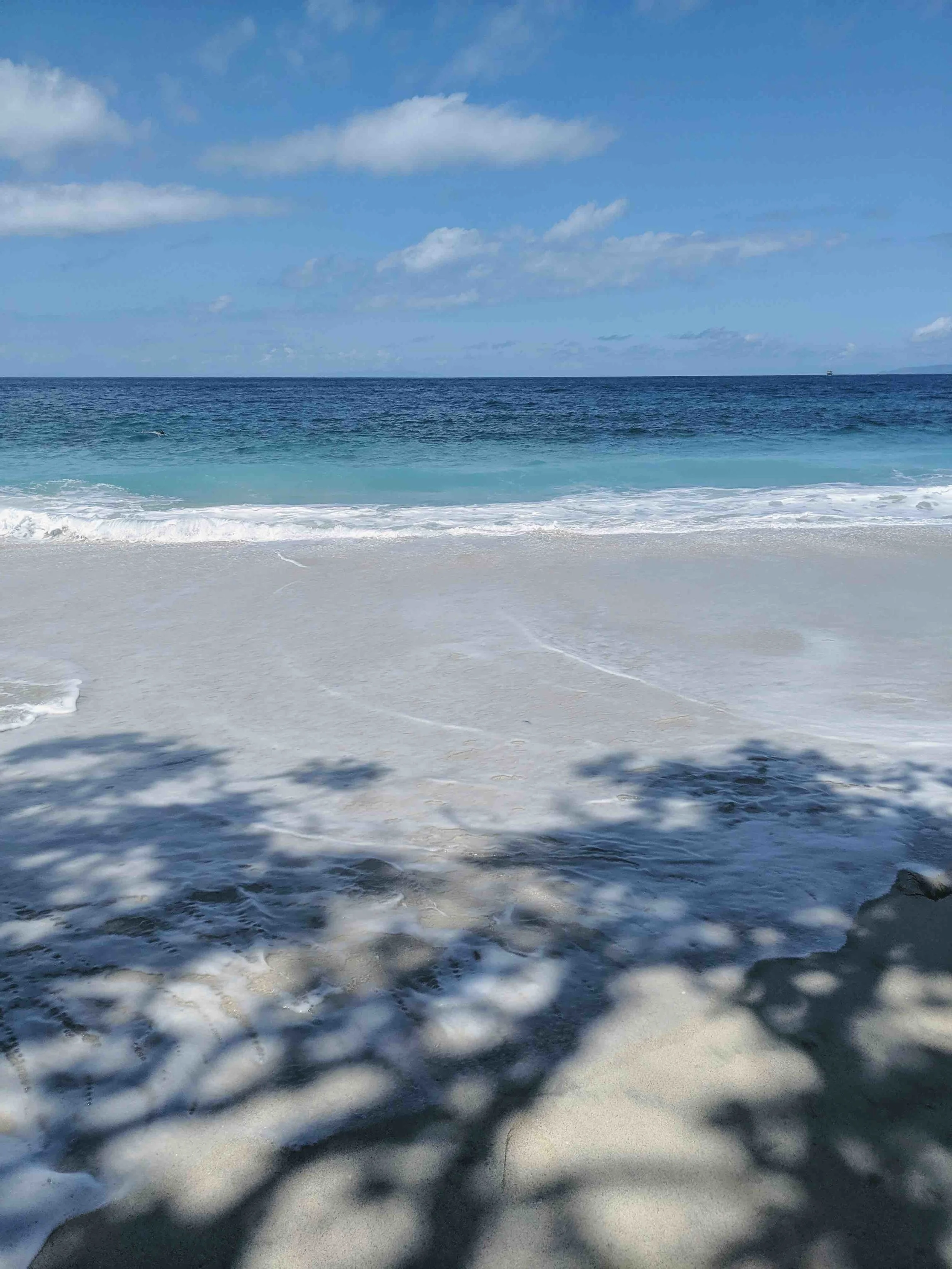 whitesandbeach.jpg
