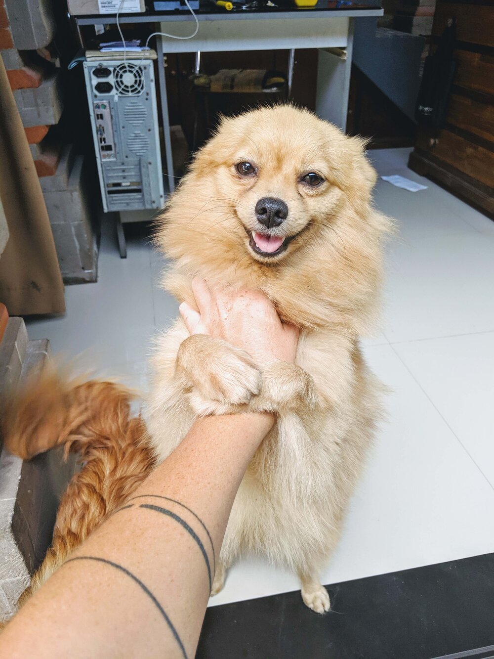 hugging-dog.jpg