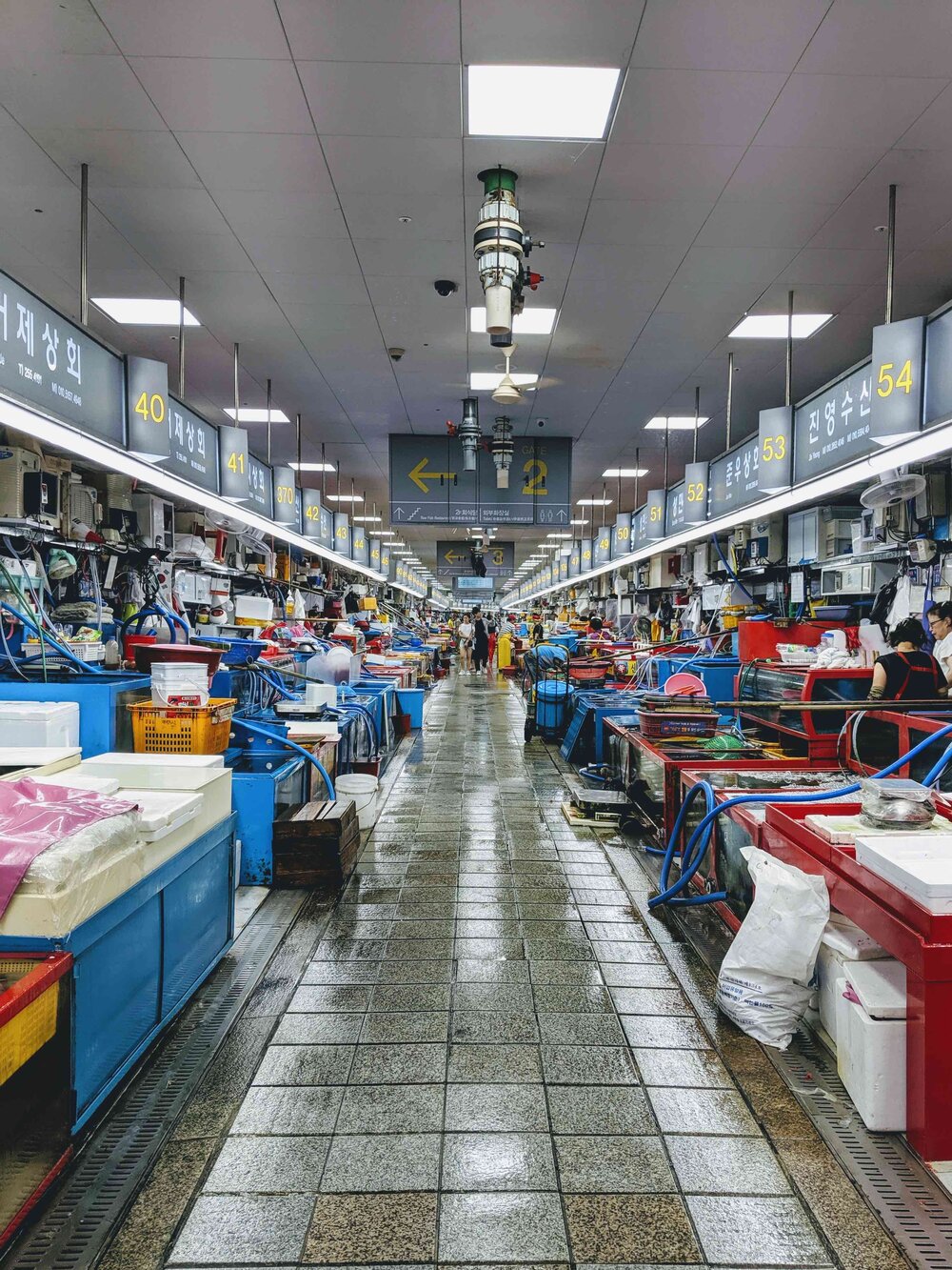 fish-market-busan.jpg