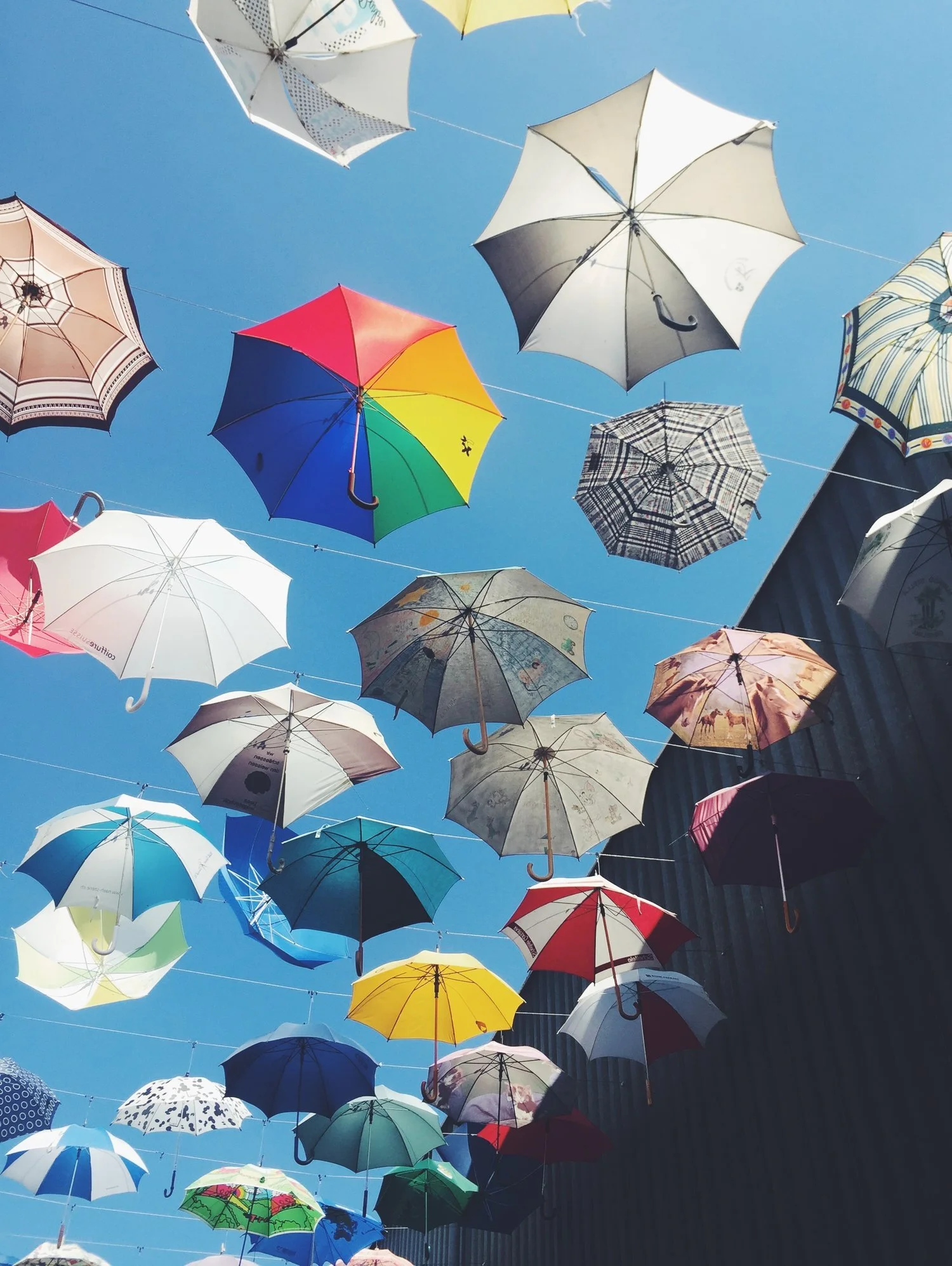 SWISS BLISS | ZÜRICH, APPENZELL