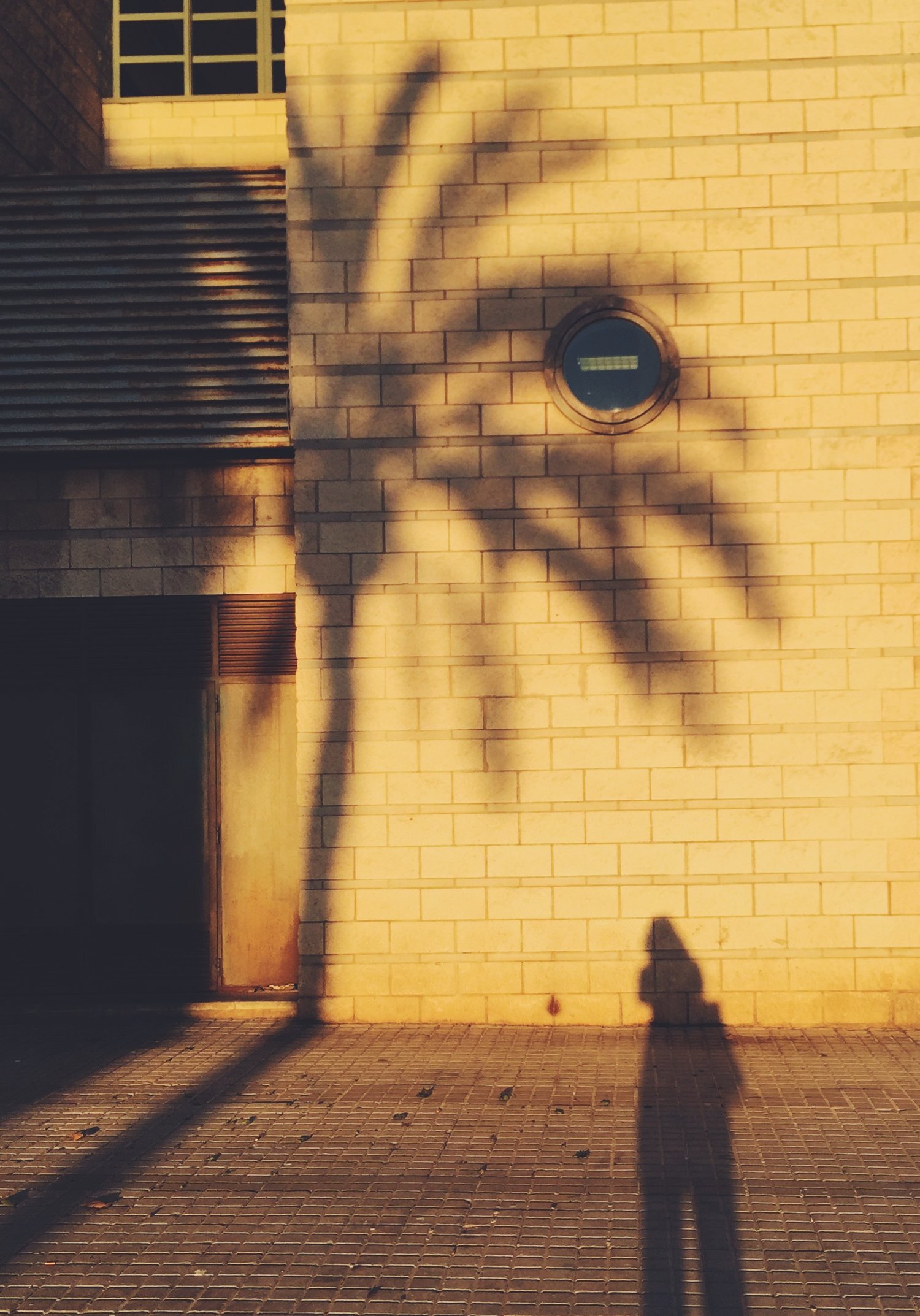 TAPAS SO TASTY | BARCELONA