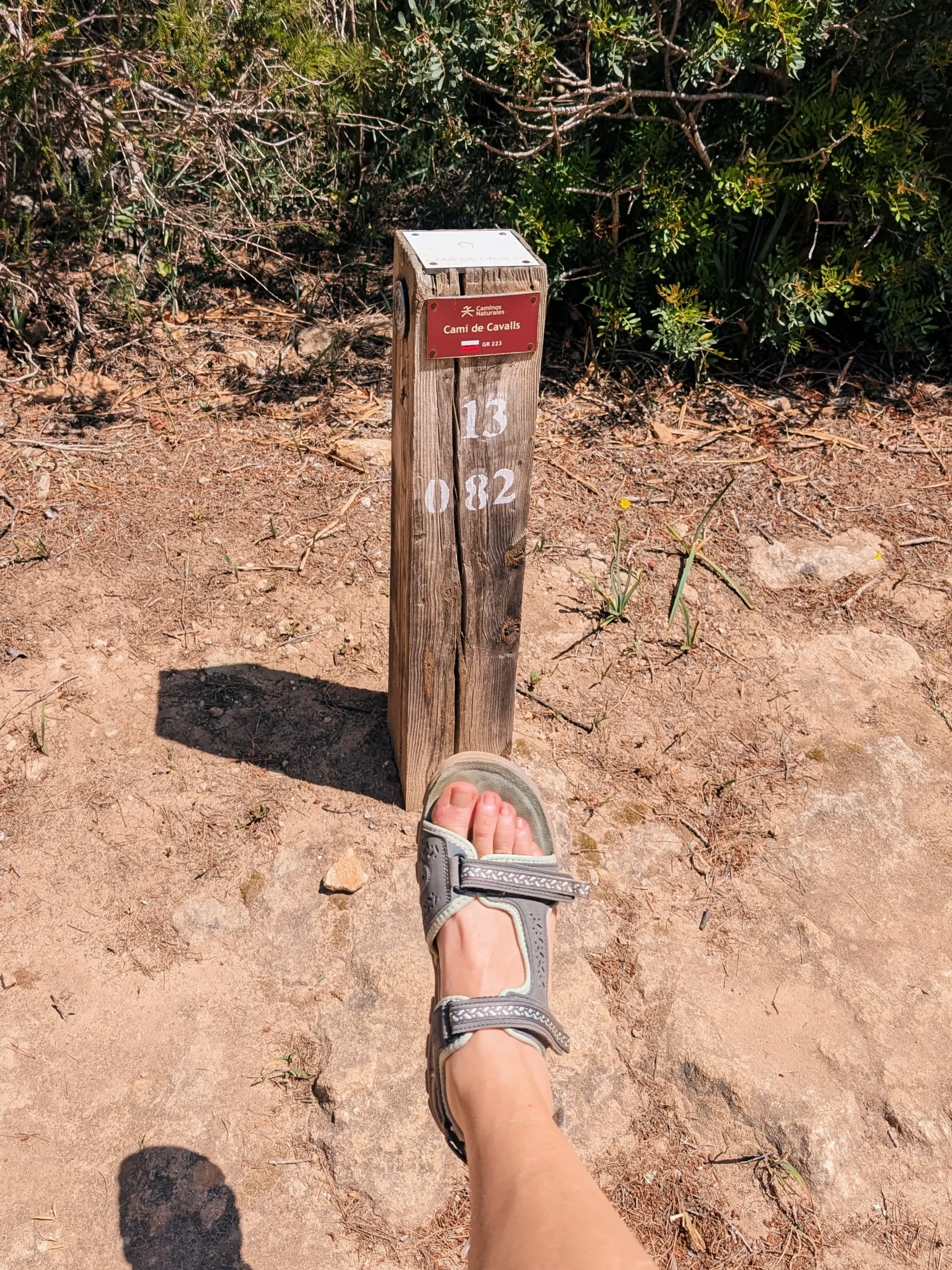 PXL_20260426_110517671-VSCO.webp