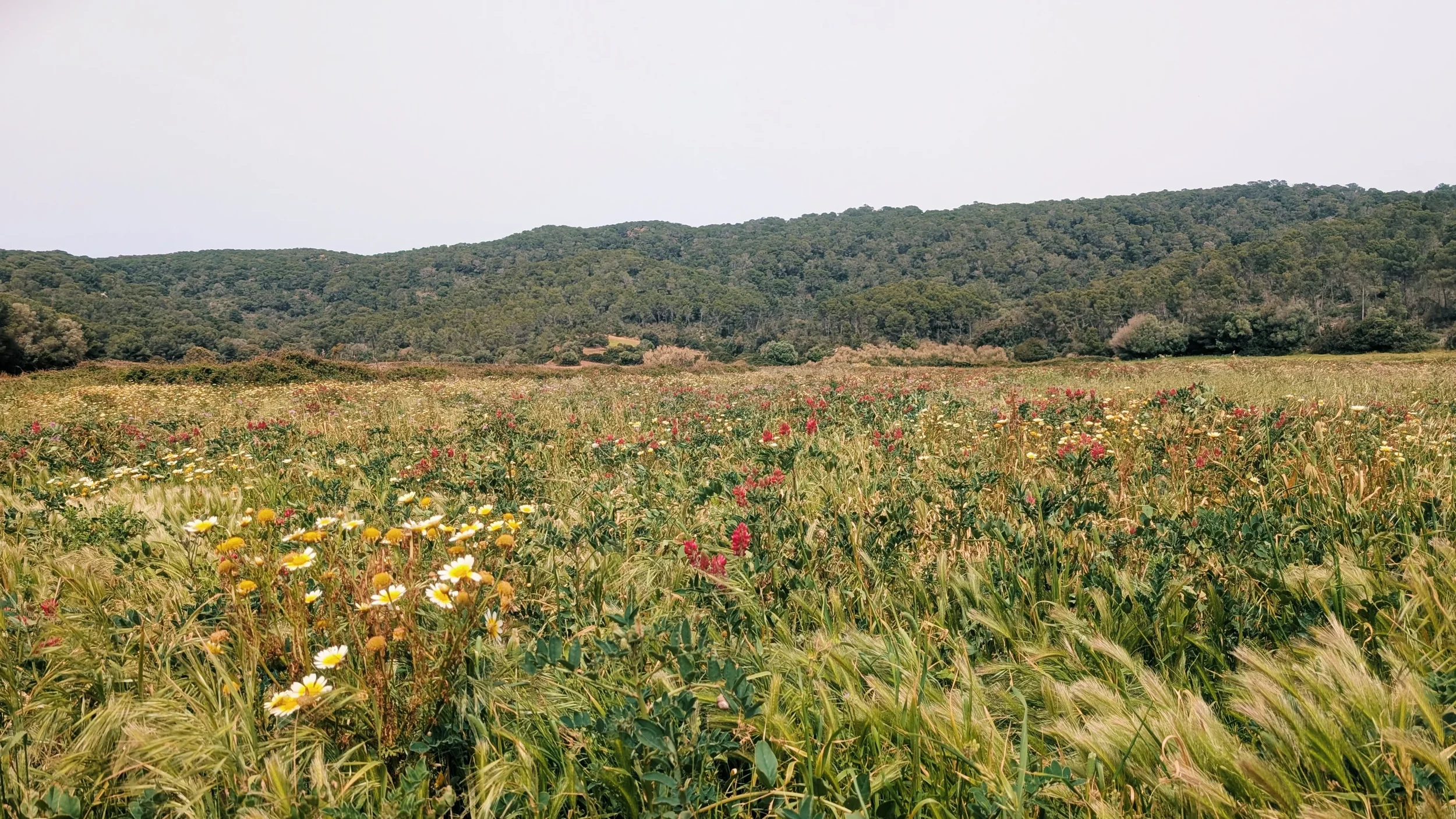 PXL_20260411_120101948MP-VSCO.webp