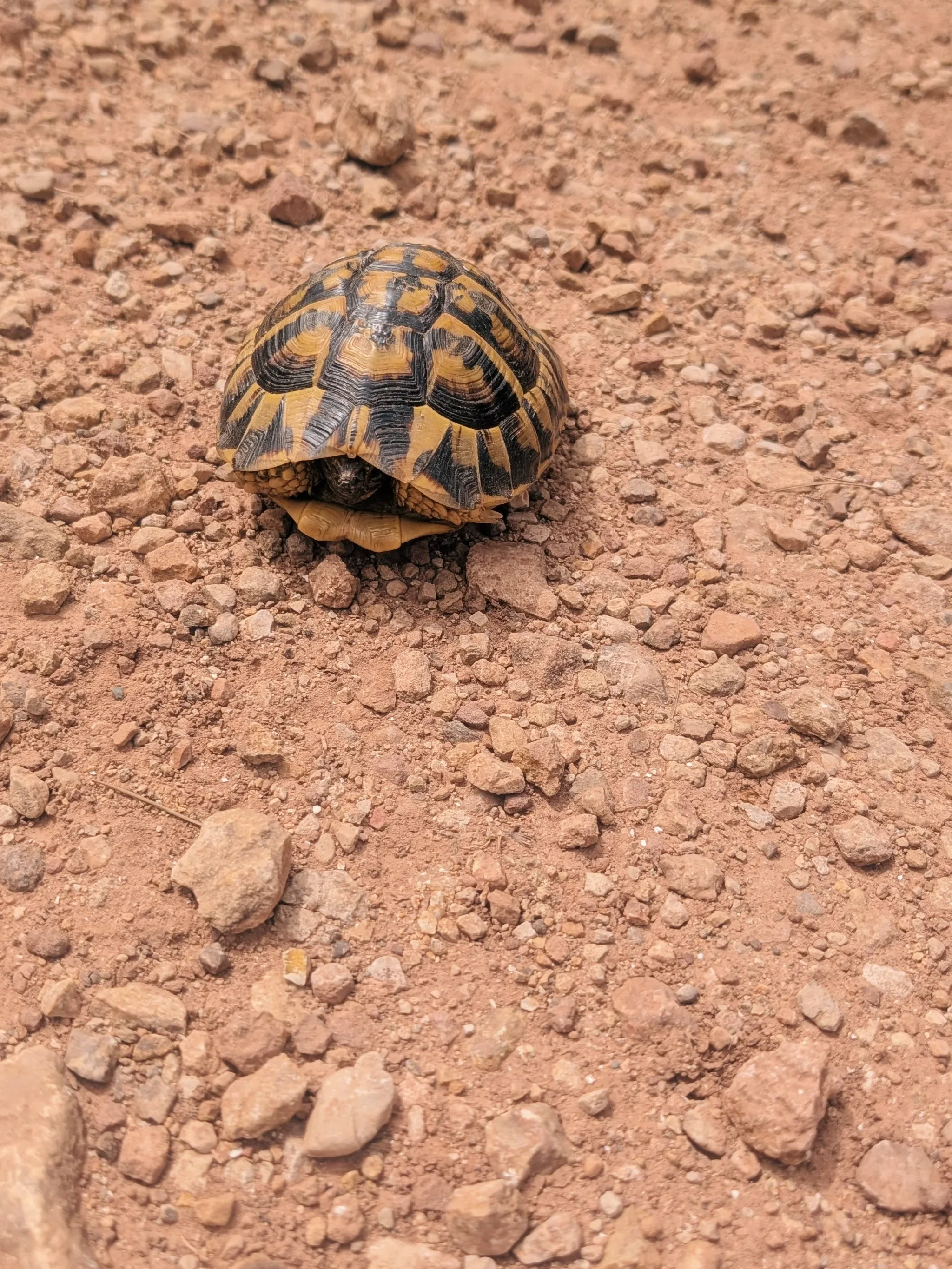 PXL_20260411_122555479-VSCO.webp