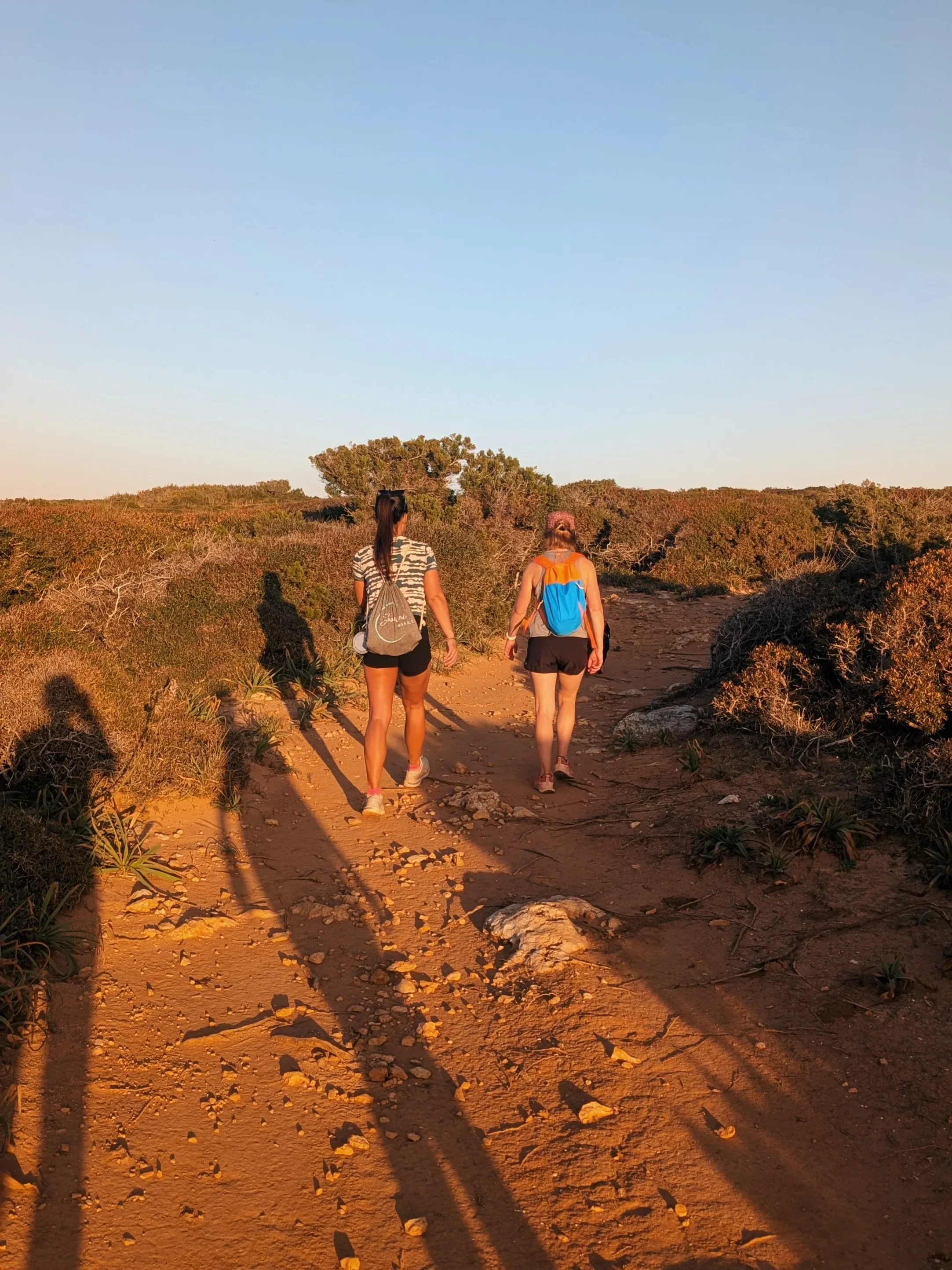 PXL_20260410_173727039-VSCO.webp