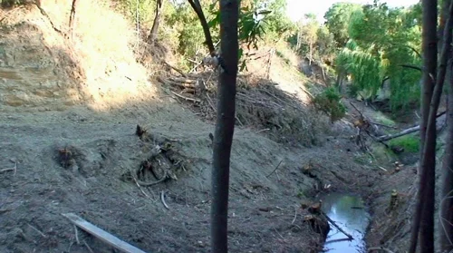 "Before" 2009 - note central tree