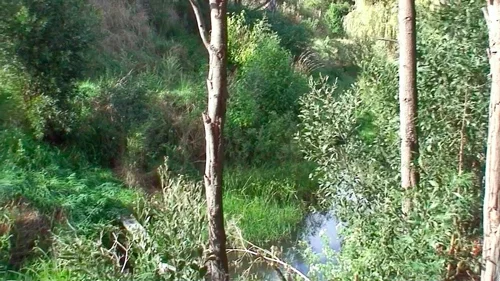"After" 2011 - same position of tree