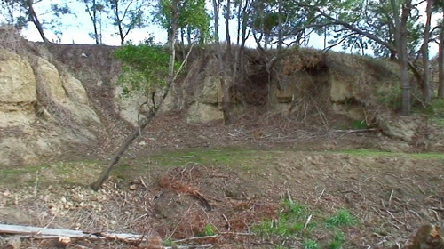 "Before" 2009 - note leaning Blackwood at left