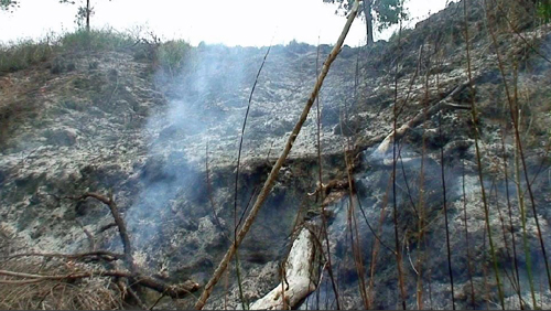 After the fire