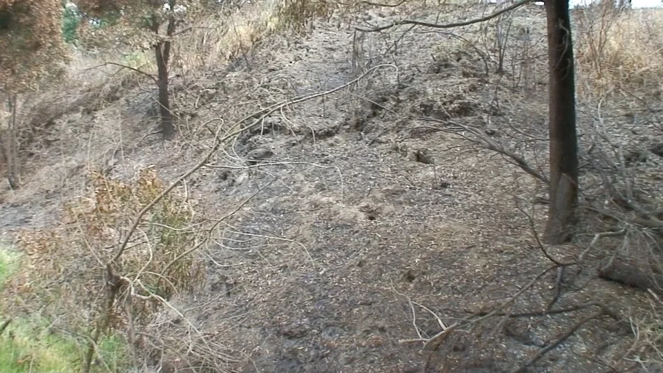 After the fire