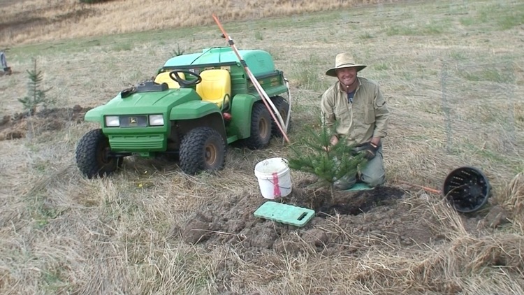 James planting a Douglas fir and surrounded by "tools of his trade"