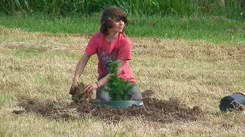 One of the locals planting a Lebanese cedar