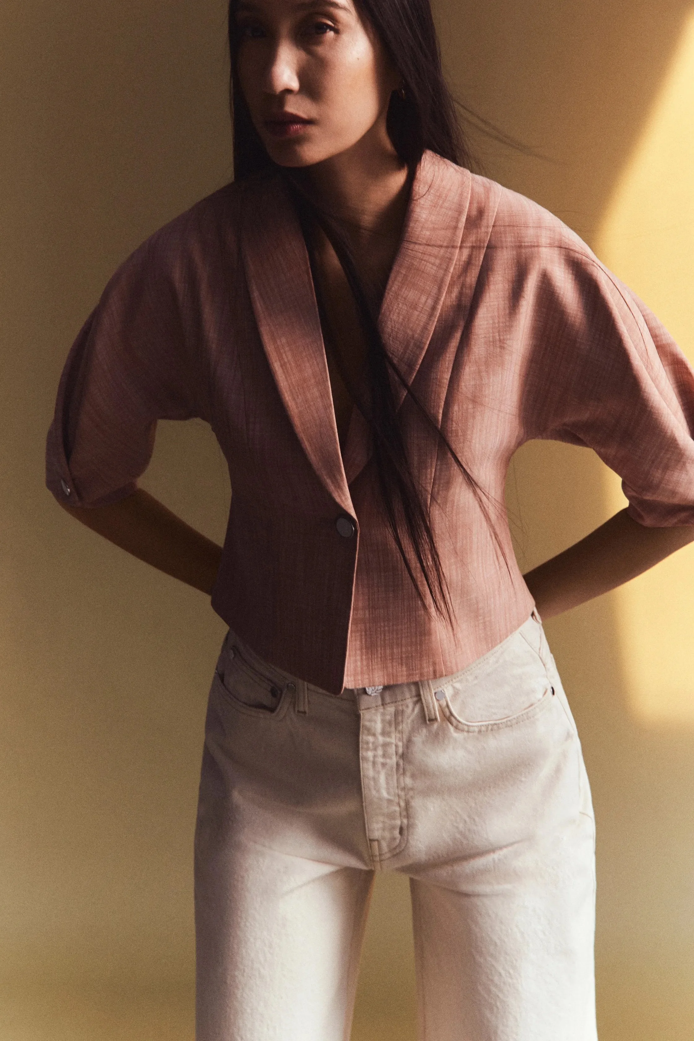00011-derek-lam-10-crosby-pre-fall-2024-credit-su-mustecapiloglu.jpeg