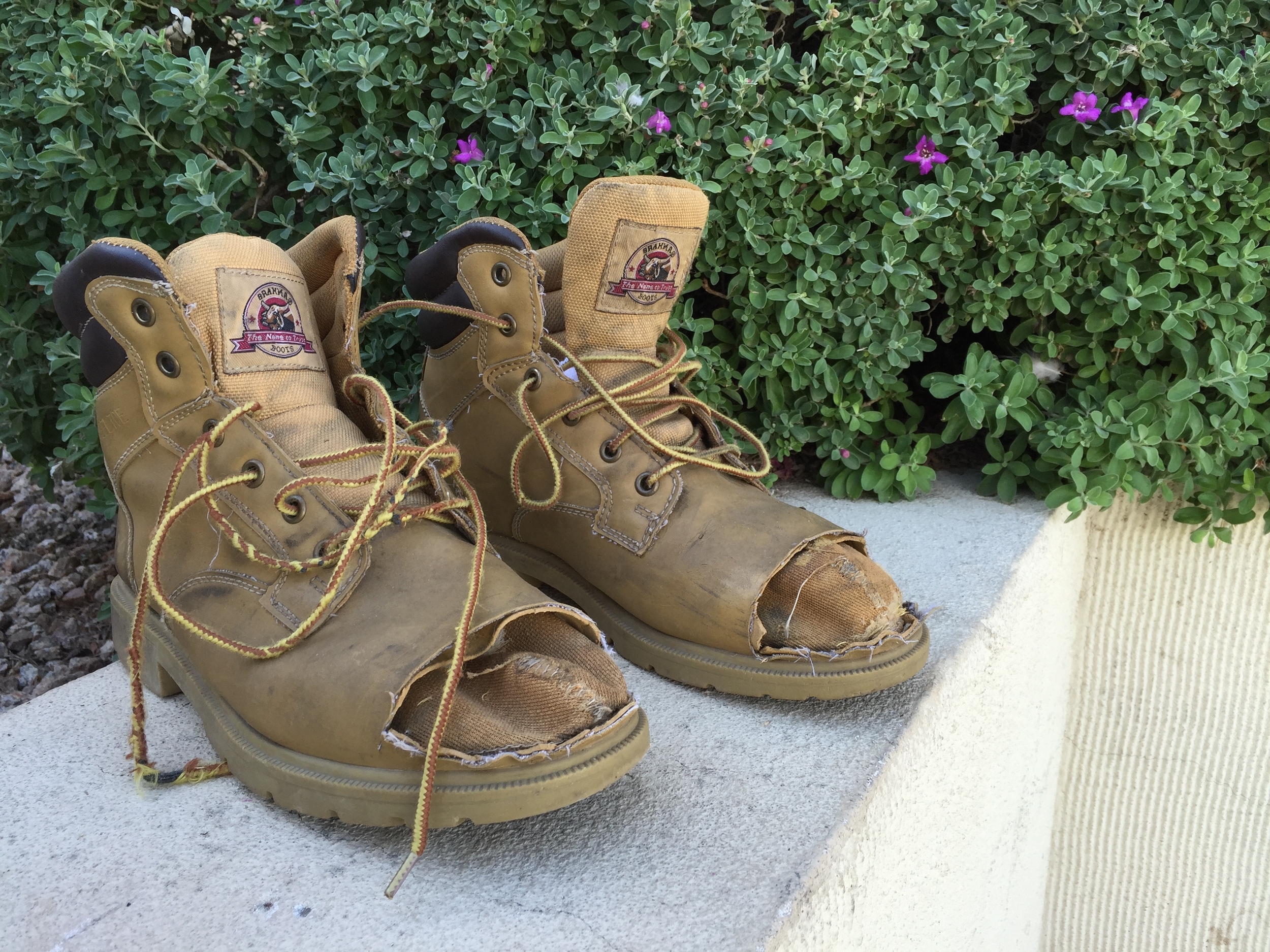 Sermon: Maundy Thursday, 2016