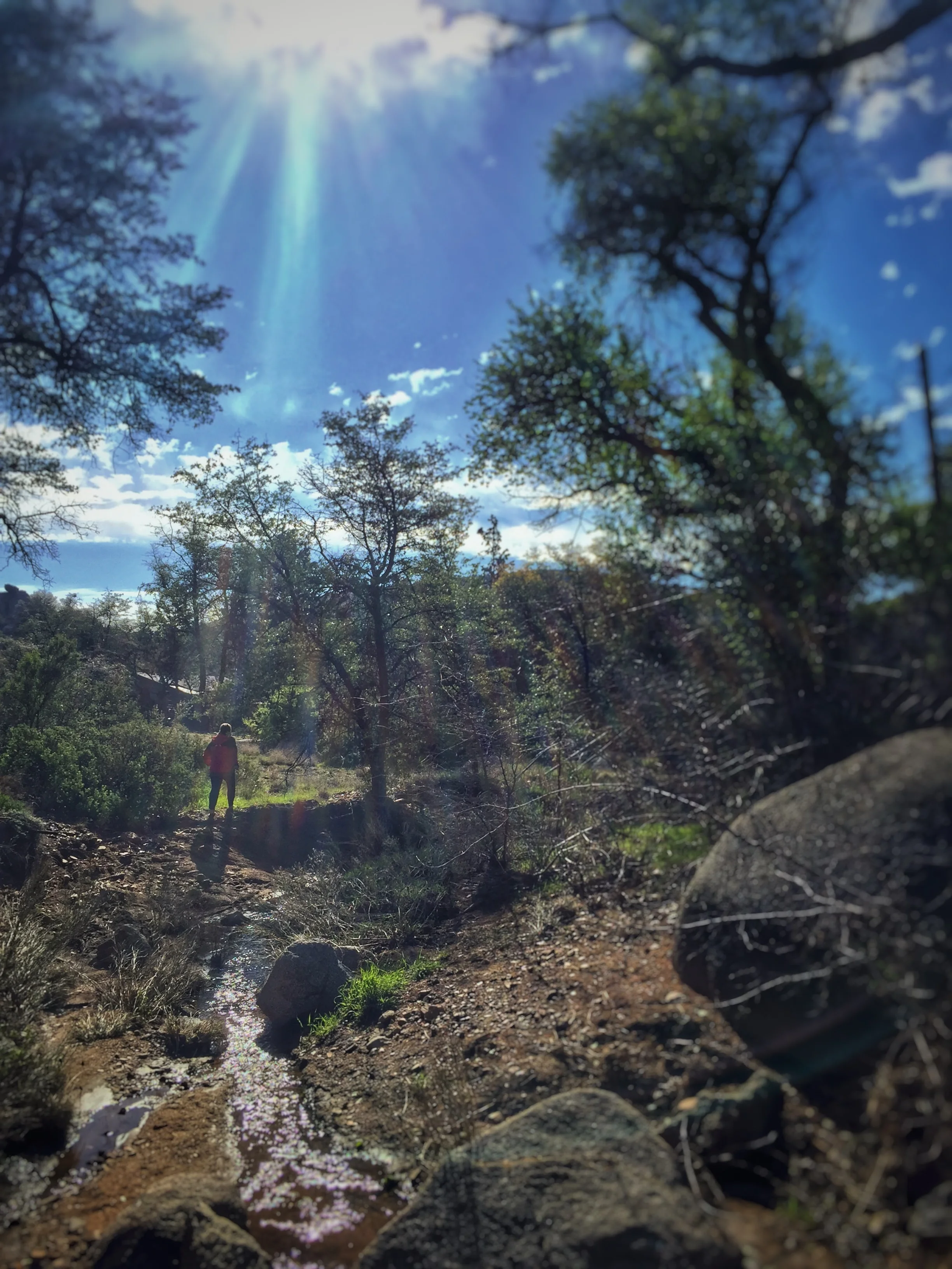 Sermon: March 19, 2017